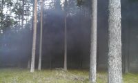 20170915_093216
