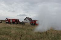 DSC08339